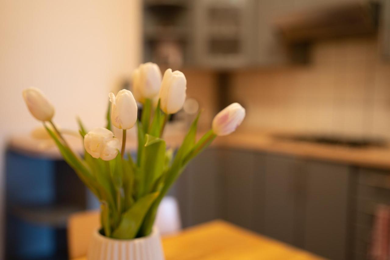 Homestay Nad Pizzeria